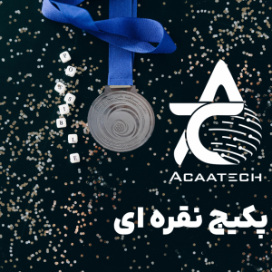 بسته نقره ای