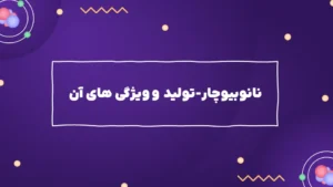 نانوبیوچار