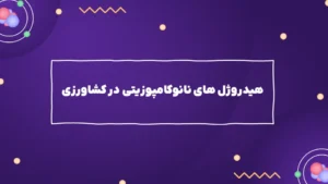 هیدروژل های نانوکامپوزیتی در کشاورزی